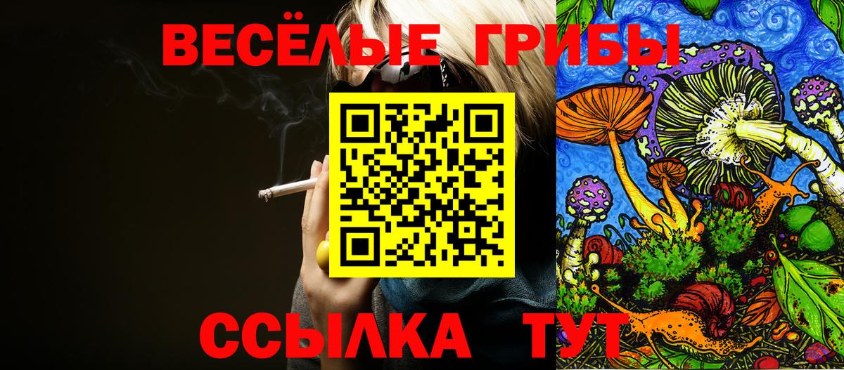 Псилоцибиновые грибы ЛСД  Вход с VPN  цена наркотик  Галлюциногенные грибы прущие грибы  Нарткала 